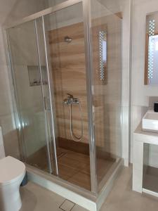 SelíniaSelinia Residence的浴室里设有玻璃门淋浴