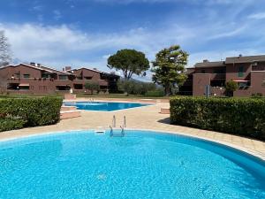 巴多利诺Appartamento Pigno的部分房屋前方的大型蓝色游泳池
