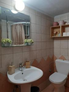 SpartokhórionTheros Apartment的一间带水槽、卫生间和镜子的浴室