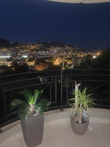尼斯Appartement 02 Vue Panoramique -WIFI- Parking privé -NICE的两个盆栽植物在晚上坐在阳台上