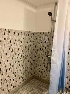 斯诺厄拜克beach room的一间带淋浴的浴室和瓷砖墙