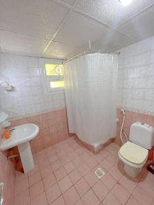 沙迦Al Ghadeer Hotel Apartment的粉红色的浴室设有卫生间和水槽