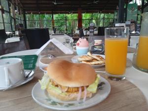 伊基托斯Amazon Lodge Varillal的桌上的三明治,有两杯橙汁