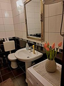 莫斯塔尔西娅公寓酒店的一间带水槽和卫生间的浴室以及花瓶