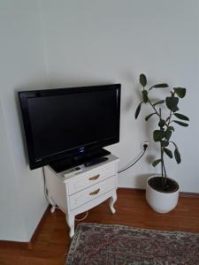 莫斯塔尔西娅公寓酒店的白色的立柱上的平面电视,带有盆栽植物