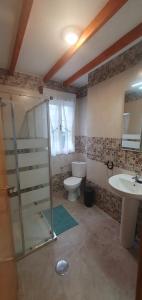 塔拉蒙迪ALOJAMIENTOS EL CASTRO的带淋浴、卫生间和盥洗盆的浴室
