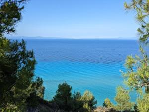 阿菲托斯Blue Dream Afytos的透过树林欣赏海景