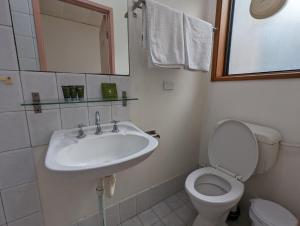 阿德莱德Studio 22 Wright Lodge的一间带水槽、卫生间和镜子的浴室