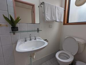 阿德莱德Studio 24 Wright Lodge的一间带水槽、卫生间和镜子的浴室