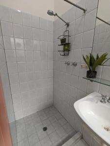 阿德莱德Studio 28 Wright Lodge的带淋浴和盥洗盆的白色浴室