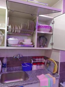 Al Ḩammādشاليه سياحي بمارينا دلتا لاجونز المنصورة الجديدة的厨房设有水槽和餐具架