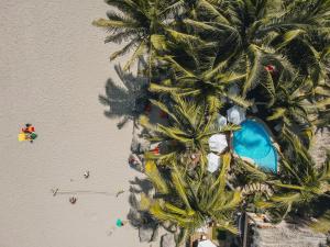 曼克拉Los Corales的棕榈树海滩上方的景色