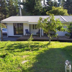 上哈特Akatarawa Valley Retreat a Cosy Two Bedroom Guest Suite的站在房子前面的狗
