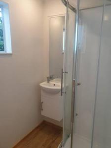 波里鲁阿New, Cosy & Private 1-Bedroom & Living Flat的一间带水槽和玻璃淋浴的浴室