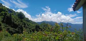 仁爱乡麋鹿遇见松鼠的享有山景。