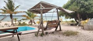 普拉伊拉多比莱尼Shongili Island Lodge的游泳池旁的秋千和遮阳伞