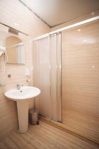 科布列季Hotel Irise的一间带水槽和淋浴的浴室