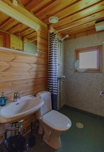 库奥皮奥劳哈拉提度假屋的浴室配有白色卫生间和盥洗盆。