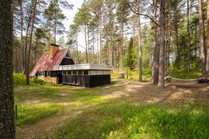 Vääna-JõesuuMaro Guesthouse with Sauna的森林中小屋