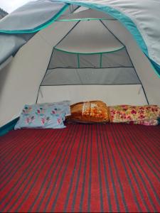 KanzalwanBrown bear camping gurez的帐篷中间设有两张床
