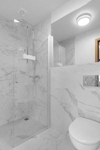 弗吕济Klettar - The Old Hatchery Iceland的带淋浴和卫生间的白色浴室
