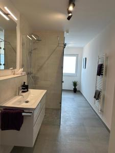 博霍尔特Ostwall Terrassen Apartment 5.29的浴室配有盥洗盆和带镜子的淋浴