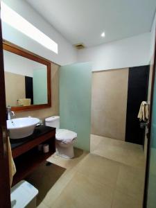 塞米亚克阳台客厅公寓式酒店的一间带水槽、卫生间和镜子的浴室