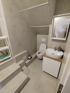普利莫顿Stonewood Dalmacija的一间带卫生间和水槽的小浴室
