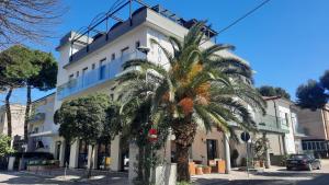 里米尼梅莫里酒店的白色建筑前的棕榈树