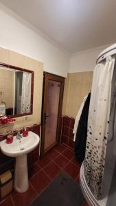 奥拉迪亚Casa in Oradea !的一间带水槽、卫生间和淋浴的浴室