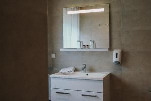 格拉茨Appartement Steinbichler的一间带水槽和镜子的浴室