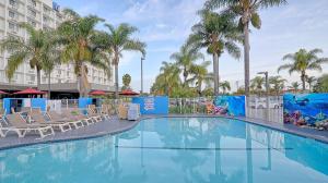 英格尔伍德Suites Los Angeles CA Los Angeles LAX的一座游泳池,里面种有椅子和棕榈树