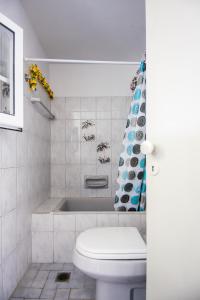 斯沃伦塔Eftychia's Home的一间带卫生间和淋浴帘的浴室