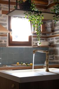 尼基季Homstone的厨房水槽上挂着植物