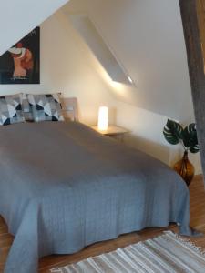 HårlevAkaciegaarden Bed & Breakfast的一间卧室配有床、灯和植物