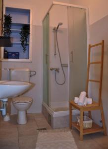 博扎瓦Jungle & Sea Boxavia的带淋浴、卫生间和盥洗盆的浴室