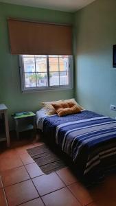 El RosarioCasa Nea的一张位于带窗户的房间的床