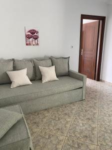 阿利基Petra Mare Apartments的客厅配有带2个枕头的沙发