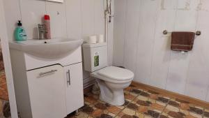 TsovazardSevan - Tsovazard Beach House的浴室配有白色卫生间和盥洗盆。