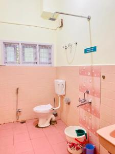迈索尔Crossroads Hostel 1980的一间带卫生间和水槽的浴室