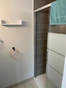 里摩日La Maison de l'Auzette的带淋浴的浴室和玻璃门