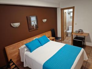 埃拉斯蒂列罗Hostería VISTAPARK的一间卧室配有一张蓝色枕头的床和一间浴室