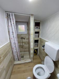 下米拉诺瓦茨Apartmani Kuljanin的一间带卫生间和淋浴的小浴室