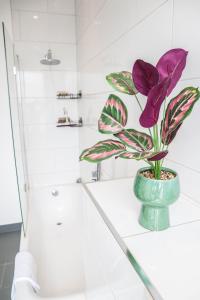 伦敦Modern & spacious 1 bedroom Clapham Junction flat的浴室柜台绿色花瓶里的紫色花