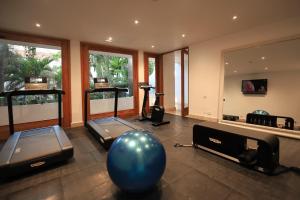 卡塔赫纳卡萨佩斯塔瓜雷莱斯城堡酒店的一间设有蓝色球的健身房的房间