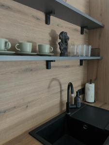 卡什泰拉Gemini Apartments的厨房柜台设有水槽和书架上的杯子