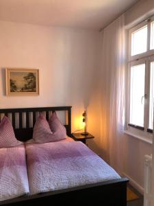 马尔肖In der Mühlenstraße的一间卧室配有一张带紫色枕头的床和窗户。