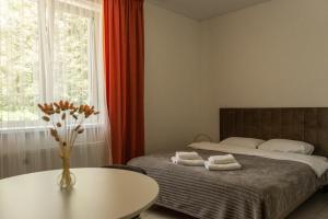 文尼察TREND HOUSE Apartments & Hostel的一间卧室配有一张床、一张桌子和一个窗户。