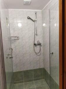博加奇富洛普公寓的带淋浴的浴室和玻璃门