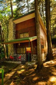 Cabañas Lunas del Poás的树林中的房屋,前面有红色椅子